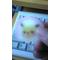 続[V:4F4E]埼玉の高校生[V:4741][V:5035]